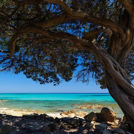 Penzion La Ginestra Orosei Exteriér fotografie