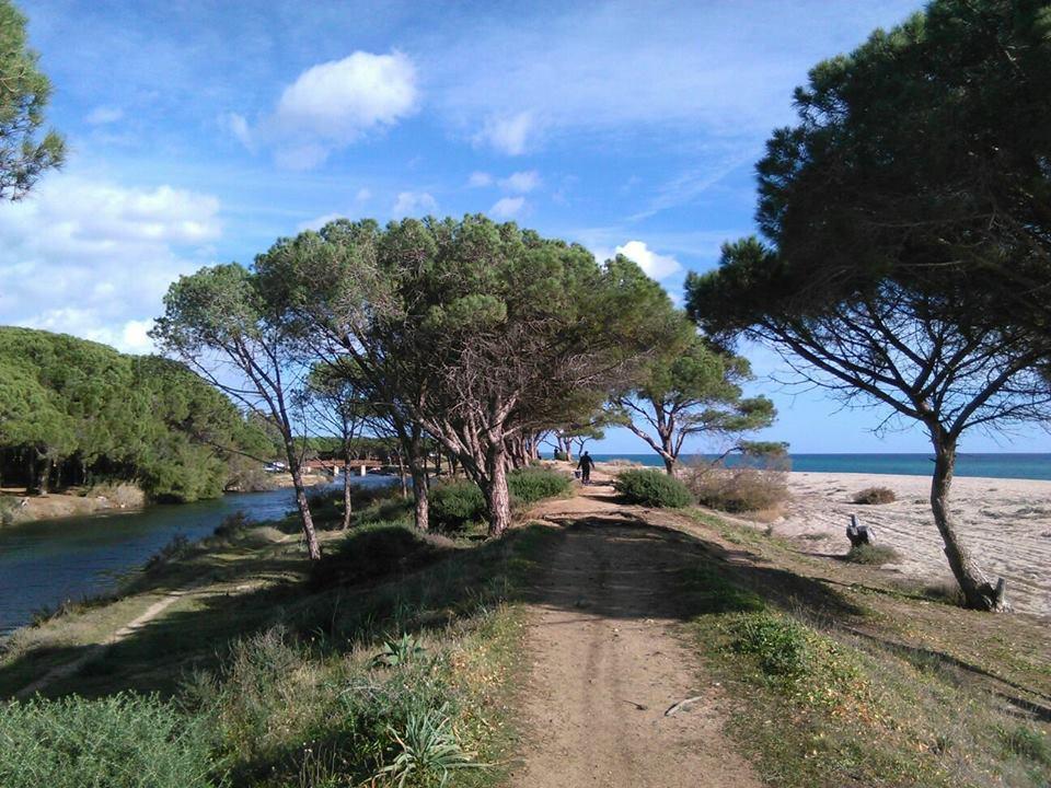 Penzion La Ginestra Orosei Exteriér fotografie