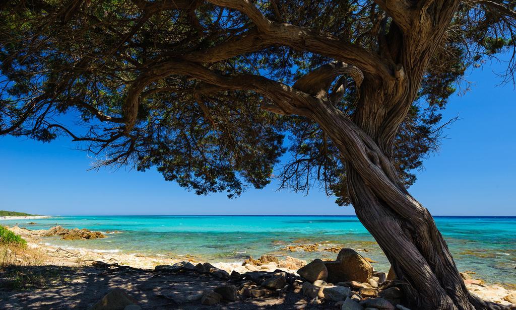 Penzion La Ginestra Orosei Exteriér fotografie