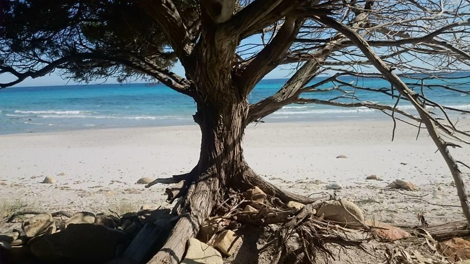 Penzion La Ginestra Orosei Exteriér fotografie