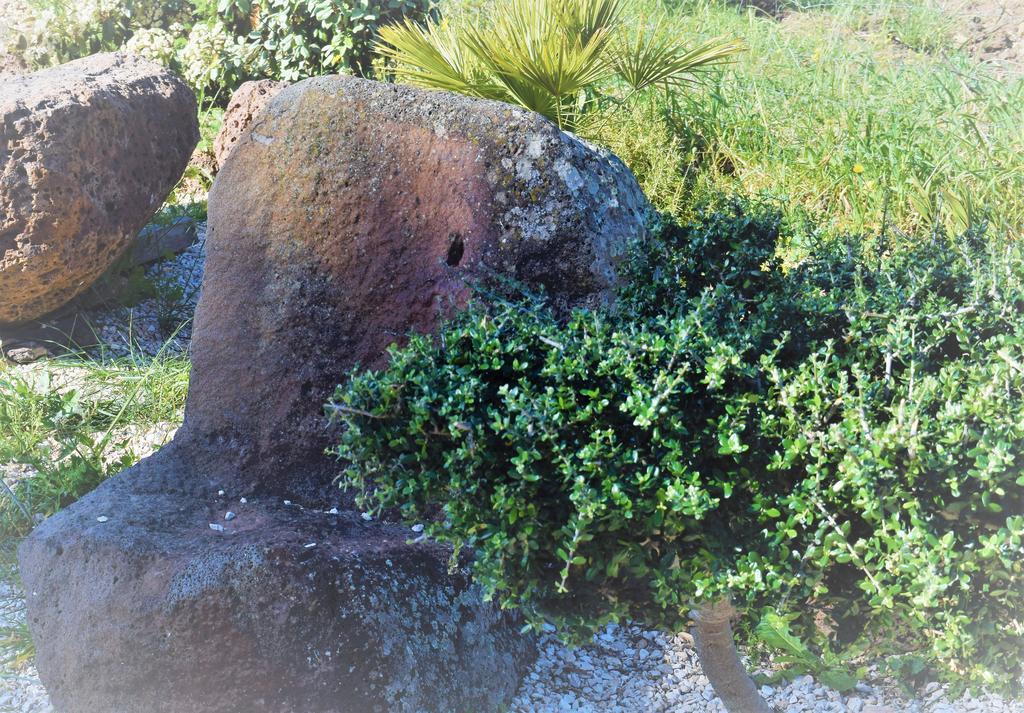 Penzion La Ginestra Orosei Exteriér fotografie